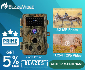 Blaze videos infos en ligne