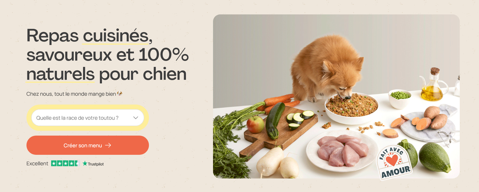 Dogfy diet alimentation pour chiens