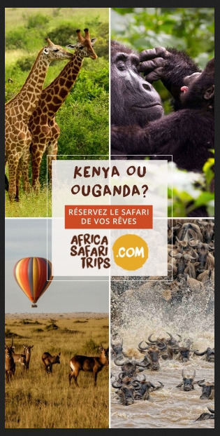 safari en afrique pour tous en ligne